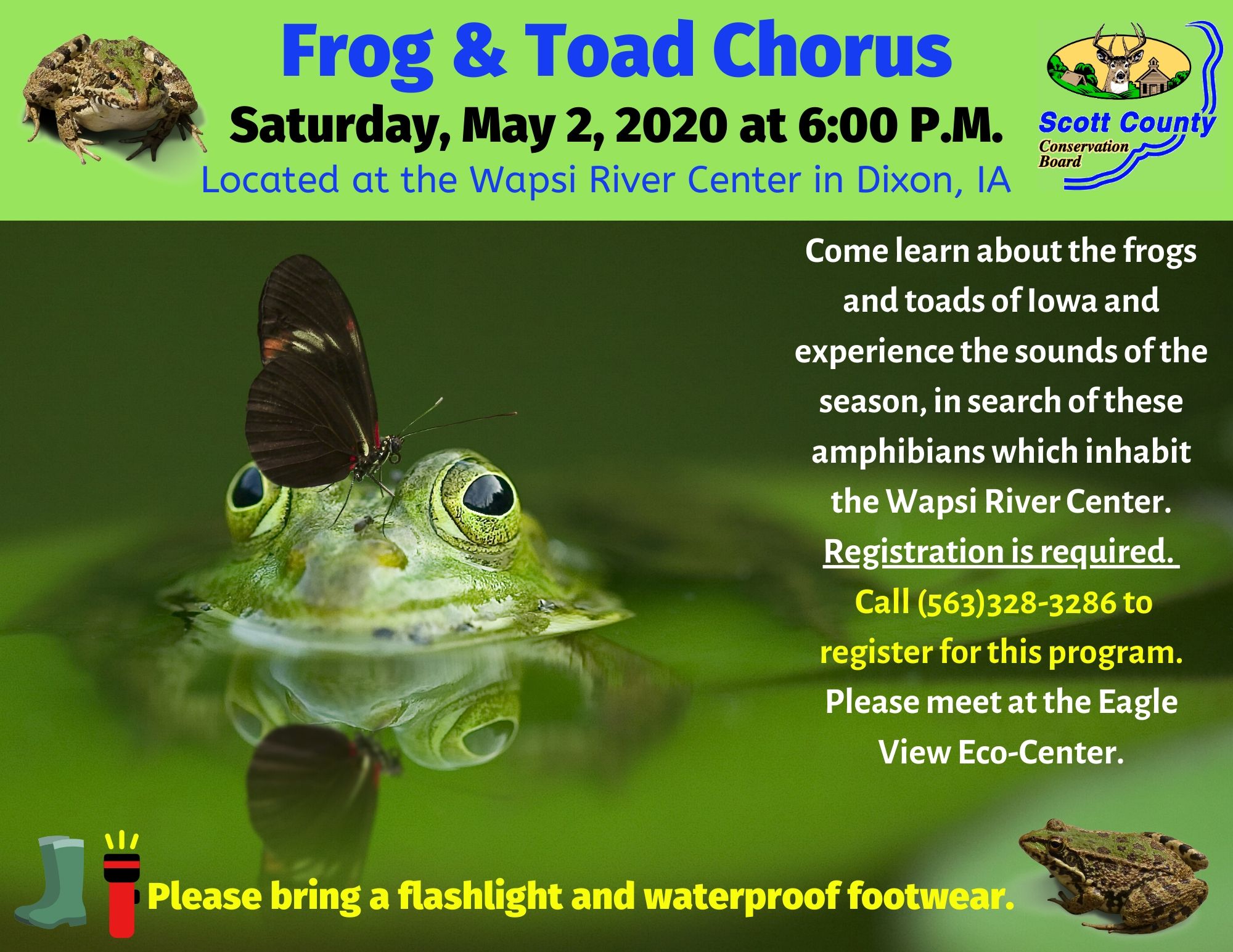 May 2: What Are Amphibians?