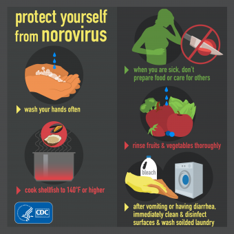 Norovirus Activity Scott County Iowa   Norovirus 