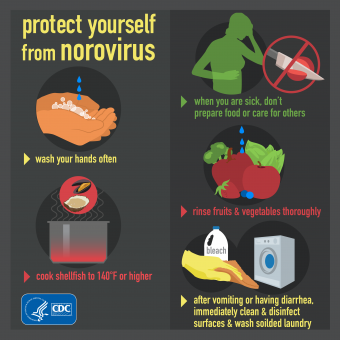 Infographic detailing steps to take to prevent norovirus