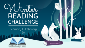 Winter reading challenge banner