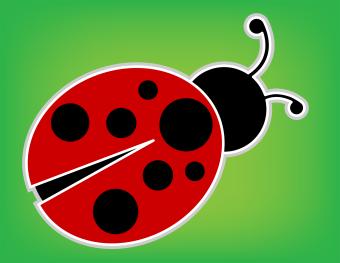 ladybug with green background