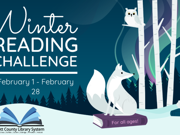 Winter reading challenge banner